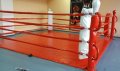Въжета за боксов ринг - три пластови  , снимка 10