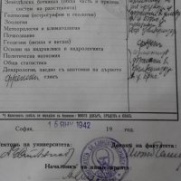 Стар документ диплома 1941г, снимка 12 - Антикварни и старинни предмети - 23655515