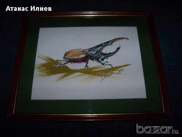 "Бръмбар" картина от художничката Десислава Илиева, снимка 5 - Картини - 16257816