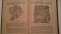 Книги по анатомия - "Специална патологична анатомия" – Б.Кърджиев, Ас.Проданов, Г.Михайлов, снимка 8