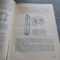 Книга Ботаника #2, снимка 4 - Специализирана литература - 24035252