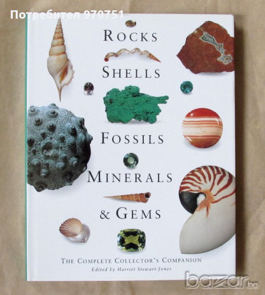 Rocks, Shells, Fossils, Minerals & Gems, снимка 1