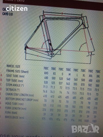 carbon frame Focus Cayo  , снимка 7 - Велосипеди - 22452349