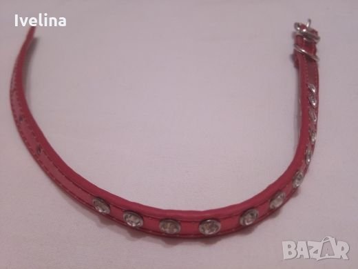 Нашийник за куче/коте, снимка 3 - За кучета - 22867940