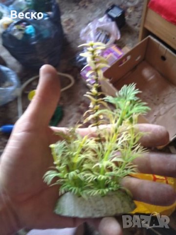 Аквариумна Декорация, Аквариумни помпи и Нагреватели, снимка 5 - Аквариуми - 24951786