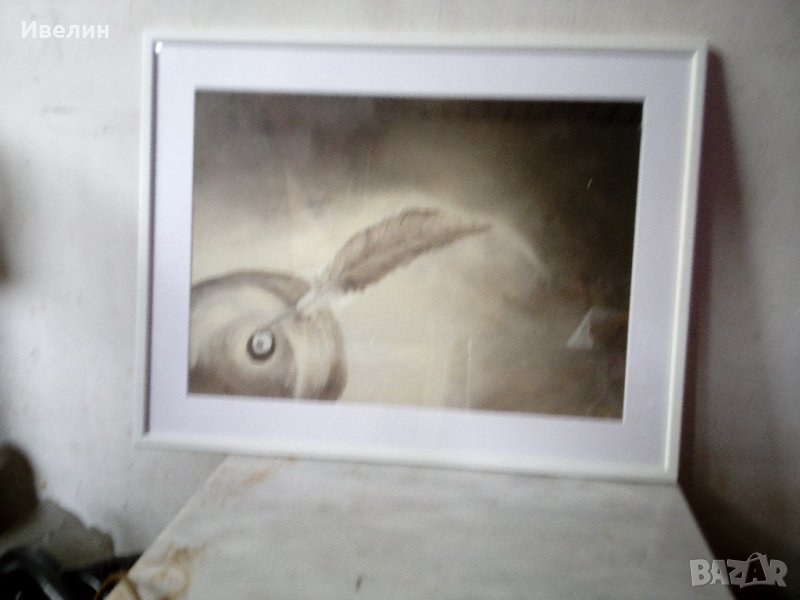 картина-перо , снимка 1