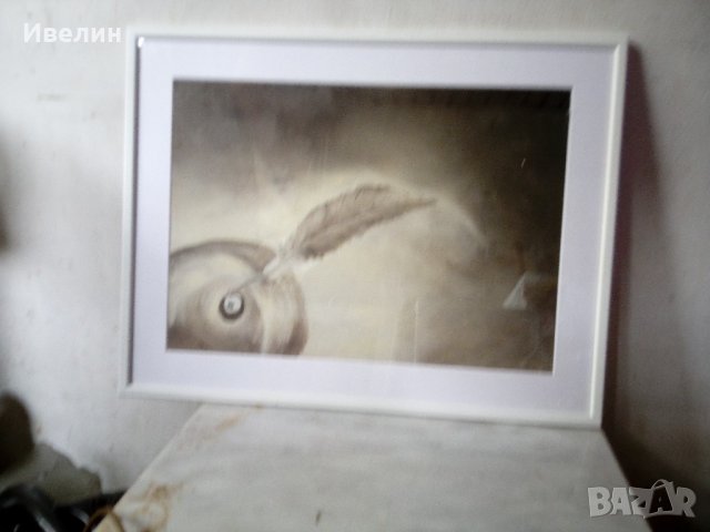 картина-перо 