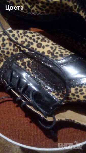 Дамски обувки, снимка 1