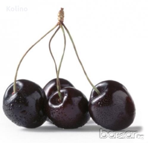 Домашни сладка и сиропи несравними с купешните: от зелени орехчета,вишни, малини, арония и други, снимка 9 - Домашни продукти - 10950336