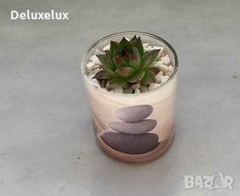 "SPA" Декорация с алпийска /скална/ роза