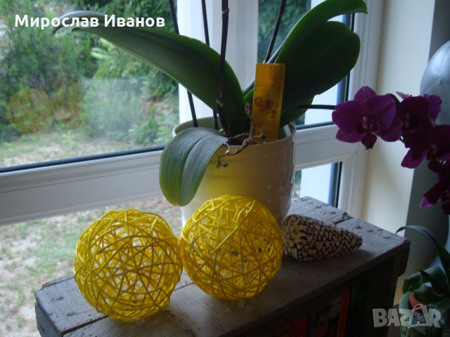 ^^ Жълти топки ^^ - деко , снимка 3 - Декорация за дома - 23580067