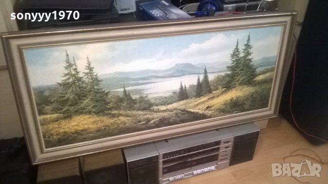 красива голяма картина-внос швеицария