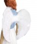детски дамски бели крила от пера аксесоар към костюм ангел Хелоуин и др, снимка 3