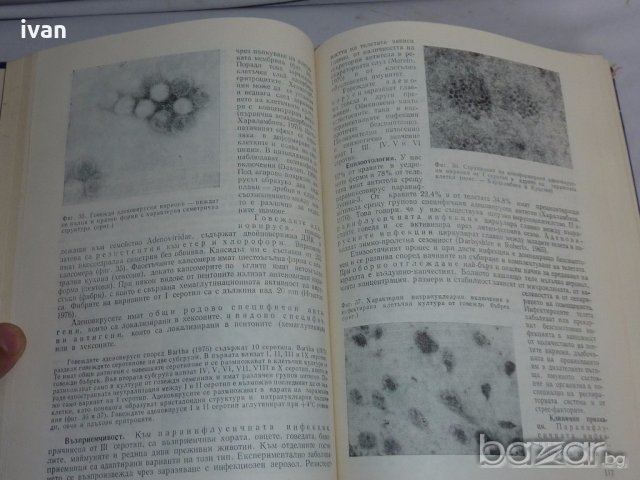 Вирусни болести по домашните животни, снимка 3 - Специализирана литература - 18923418