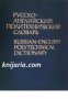 Русско-английский политехнический словарь , снимка 1 - Други - 19544319