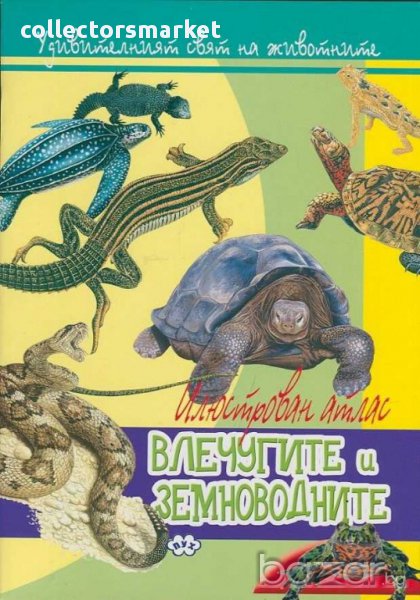 Удивителният свят на животните: Влечугите и земноводните, снимка 1
