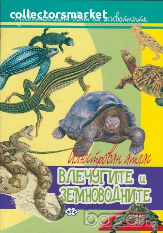 Удивителният свят на животните: Влечугите и земноводните