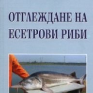 Отглеждане на есетрови риби, снимка 1 - Художествена литература - 17279215