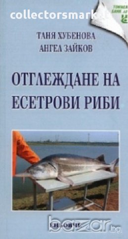 Отглеждане на есетрови риби, снимка 1