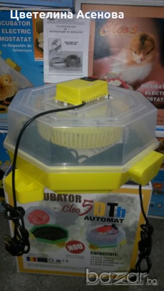 Официален вносител на Румънските инкикубатори Cleo 5, снимка 1