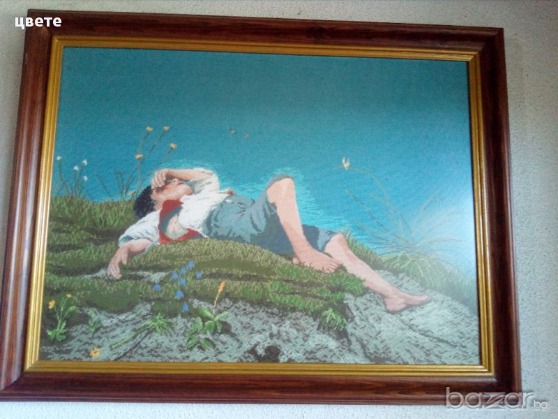 Пастирче, снимка 1