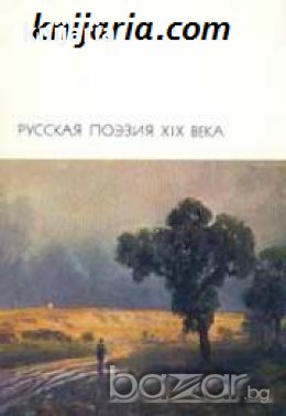 Библиотека всемирной литературы номер 106: Русская поэзия XIX века Том 2 