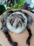 Шапки и яки от естествен косъм Сребърна Лисица,Златна Лисица и от Заек, снимка 3