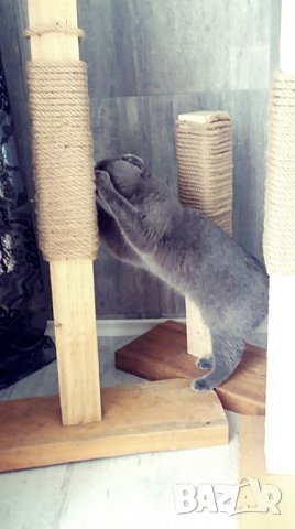 Масивна драскалка за котки, снимка 14 - За котки - 26112192