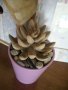 изкуствено екзотично растение в саксия с декорация , снимка 6