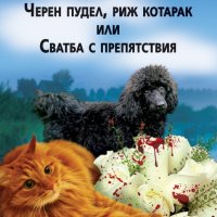 Черен пудел, риж котарак или сватба с препядствия, снимка 1 - Художествена литература - 25240504