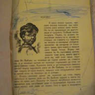 Книга "Ян Бибиян - Елин Пелин" - 126 стр., снимка 1 - Художествена литература - 10677937