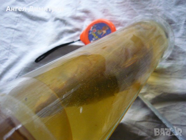 Соц. препарирана риба във вода, снимка 9 - Антикварни и старинни предмети - 21886500