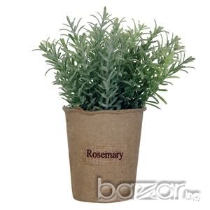 Изкуствен розмарин-19 см.