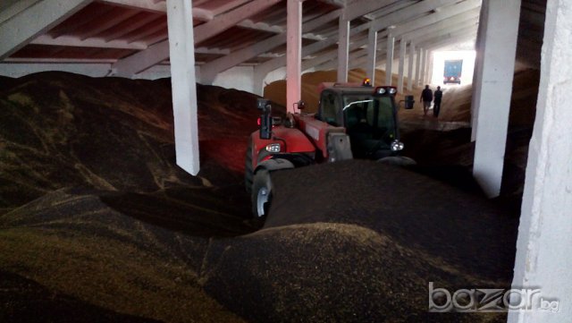 ЗЪРНОБАЗА АГРО БАЛАНС с.БРАНИЩЕ, снимка 9 - Складове - 14236202