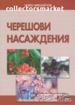Черешови насаждения, снимка 1