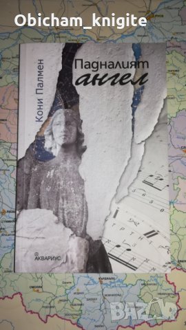Падналият ангел - Кони Палмен, снимка 1 - Художествена литература - 25061675