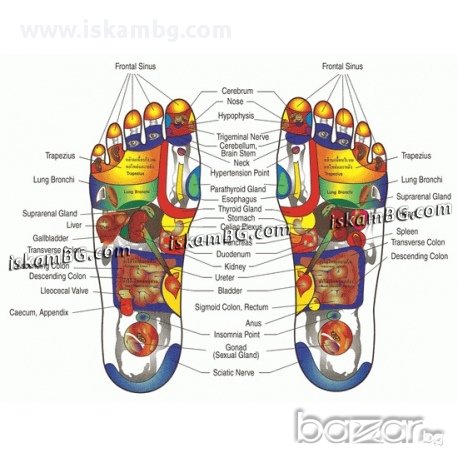 Пластири за детоксикация на тялото - код 0197, снимка 1