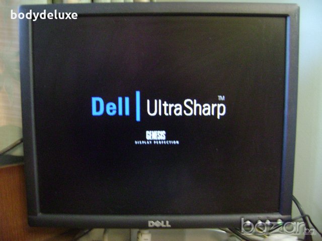 Dell 1704FPTt монитор 17", снимка 1 - Монитори - 15906939
