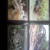 Фонокарти с животни 7752 , снимка 7 - Колекции - 25042495