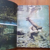 Нови приключения с диви животни - Бернхард Гжимек, снимка 2 - Специализирана литература - 21946443