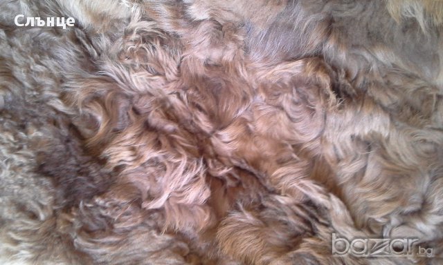 Кожа, снимка 2 - Декорация за дома - 12437637