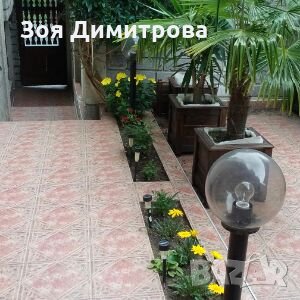 Ниски цени за нощувка в Созопол къща за гости Зоя Димитрова, снимка 15 - Къщи - 16669895