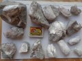 Вкаменелости (фосили) от миди и охлюви., снимка 1