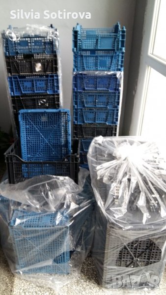 ПРОДАВАМ КАСЕТКИ И КУТИИ ОТ МАСЛИНИ, снимка 1