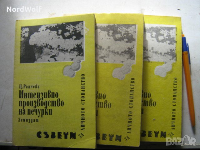 Интензивно отглеждане на печурки, снимка 2 - Специализирана литература - 24195757