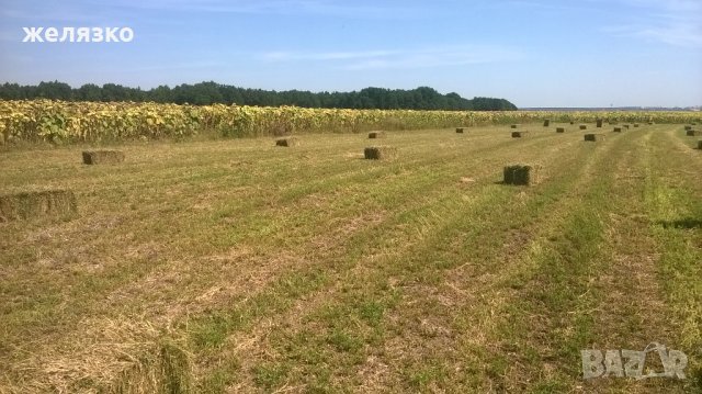 животни, снимка 5 - За селскостопански - 23642096