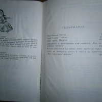 Пет отвлечени монаха, снимка 4 - Художествена литература - 19746684