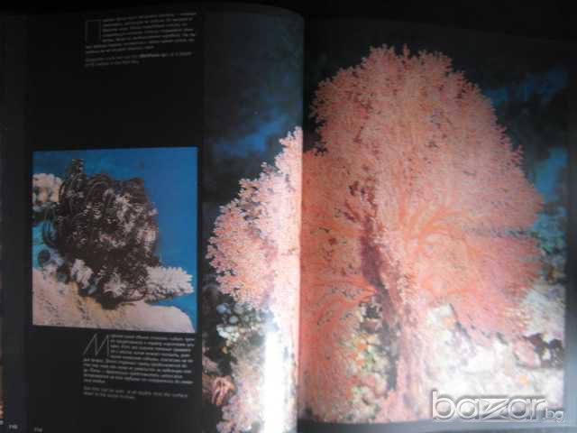 Книга "Живой океан - Н.Калинин" - 240 стр., снимка 5 - Специализирана литература - 7673655