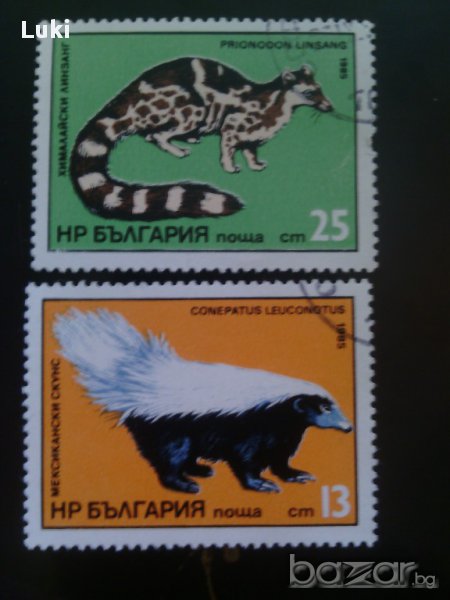 Серия,, Дребни хищници ", снимка 1