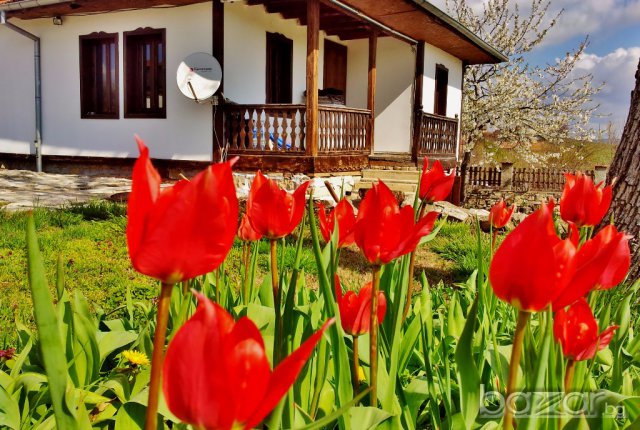 Къща за гости село Куцина до Велико Търново, снимка 2 - Селски туризъм и култура - 14270378